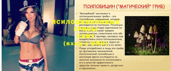 jwh Новодвинск