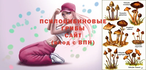 MDMA Premium VHQ Снежинск