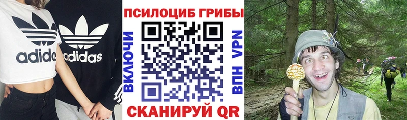 blacksprut онион  Кирс  Галлюциногенные грибы ЛСД  купить наркоту 